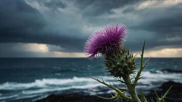 A vibrant thistle flower stands against a dramatic ocean backdrop and stormy skies. photo