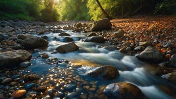 A serene river scene with smooth stones and flowing water, surrounded by lush greenery. photo