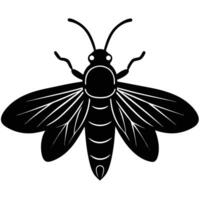 Silhouette Of A Bee With Detailed Wings On White Background vector