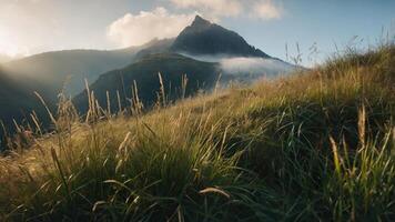 A serene mountain landscape with tall grass and misty peaks under soft sunlight. photo