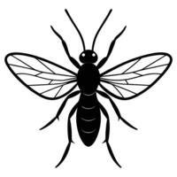 Minimalist Black Silhouette Of A Wasp On White Background vector