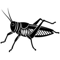 Black Silhouette Of A Grasshopper On A White Background vector