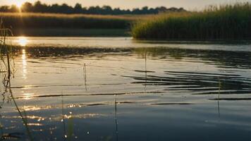 A serene sunset reflecting on a calm water surface surrounded by lush greenery. photo
