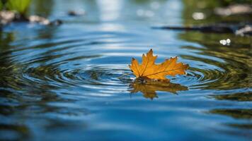 A single yellow leaf floats on water, creating ripples in a serene natural setting. photo