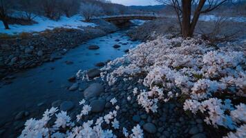 A serene riverside scene with blooming flowers and a bridge in the background. photo