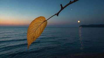 A serene twilight scene featuring a branch with a leaf over calm waters and a rising moon. photo