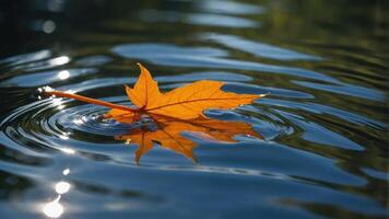 An orange leaf floats on rippling water, reflecting its vibrant color in the serene environment. photo