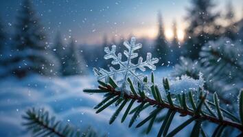 Snowflake Resting on Evergreen Branch in Snowy Forest photo