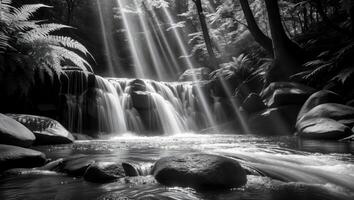 Cascading Waterfall with Sunlight in Forest Scenic View photo