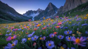 Blooming Meadow with Mountain Peaks Background photo