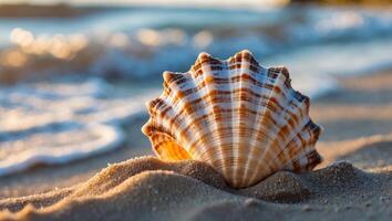 A shell on the beach with waves in the background photo