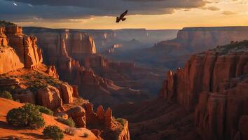 Canyon Landscape with Soaring Eagle at Sunset photo
