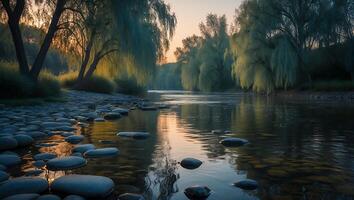 River Flows Through Trees at Sunset photo