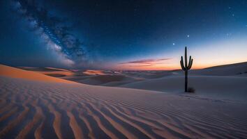 Cactus in Desert at Night with Starry Sky photo