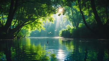 A river with trees and sun shining through photo