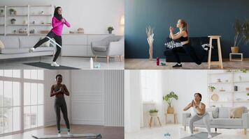 Four diverse individuals perform various workout routines in stylish indoor settings. Each person engages in different activities, reflecting a commitment to a healthy lifestyle and fitness. video