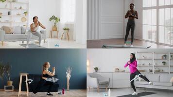 Different individuals are participating in various fitness activities indoors, showcasing a lively and healthy lifestyle. They use workout equipment and demonstrate strength and flexibility exercises. video