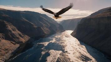 Eagle Flying Over River and Mountains Landscape photo