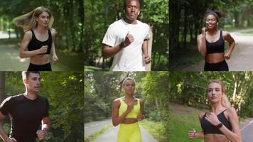 Collage shows a group of diverse individuals participating in running and workout activities in a lush, green park. Each person showcases a commitment to a healthy lifestyle through fitness. video