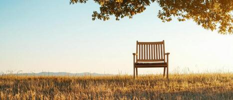 Relaxing wooden bench under a tree sunny field landscape photography tranquil environment serene viewpoint photo