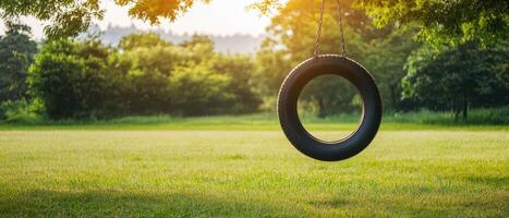Swinging tire at sunset in a green field nature photography tranquil environment outdoor viewpoint photo