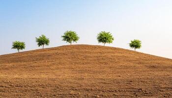 Tranquil hill landscape with small trees nature setting panoramic view peaceful environment scenic perspective photo