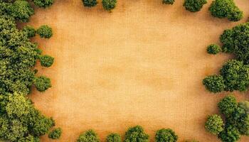 Newly planted trees in an aerial forest view nature rehabilitation green environment sustainable practices photo