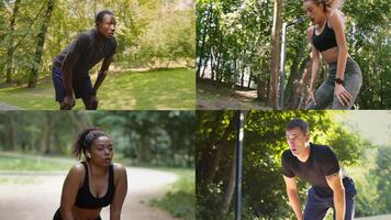 vier Einzelpersonen teilnehmen im verschiedene sportlich Aktivitäten im ein sonnig Park Einstellung. Sie sind konzentriert auf Verbesserung ihr Fitness und genießen ein gesund Lebensstil inmitten Natur. video