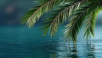 Palm trees reflecting on calm waters tropical paradise nature photography serene environment close-up view tranquil concept photo