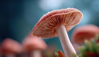 Exploring unique mushroom species in lush forest close-up photography natural environment photo