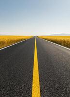 Scenic road journey through golden fields rural landscape photography wide angle tranquil vibes photo