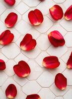 Falling rose petals indoor space floral decoration minimalist design close-up beauty in simplicity photo