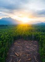 Deforestation impact on forests mountain range aerial view nature environmental awareness photo