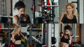 Two diverse women showcase their athletic skills through boxing exercises in a well-equipped gym. Their dedication highlights a commitment to a healthy lifestyle and physical fitness. video