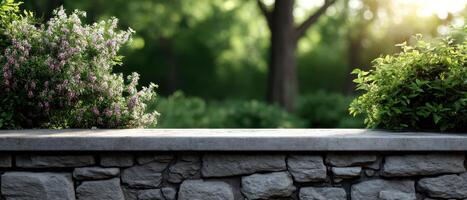 Captivating garden scene with lush plants tranquil park photograph natural light close-up serenity photo