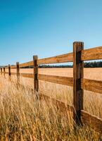 Golden wheat field with rustic wooden fence open landscape nature photography serene environment ground level view photo