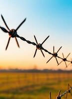 Barbed wire fence sunset nature landscape rural setting serene environment close-up view photo