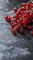 Vibrant Red Currants on Dark Stone Background photo