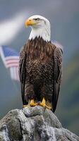 Majestic Bald Eagle Perched on a Rocky Outcrop photo