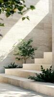 Modern Minimalist Architecture Steps with Natural Light and Plants photo