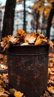 Rustic Autumn Leaves in a Rusty Metal Bin photo