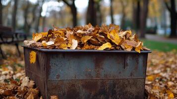 Autumn Leaves in a Rusty Metal Bin in the Park photo