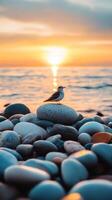 Majestic Sunset over the Beach with a Bird on Rocks photo