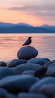 Tranquil Sunset at the Lakeside Shore with Bird photo