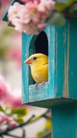 Charming Yellow Bird in Teal Birdhouse with Pink Flowers photo