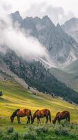 Majestic Horses Grazing in a Misty Mountain Valley photo