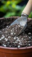 Potting Soil Close-up with Shovel - Gardening Essentials photo
