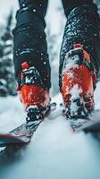 Close-up of Ski Boots in Fresh Powder Snow photo