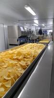 Production line for crispy potato chips photo