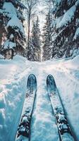 Skiing Through a Snowy Forest Path in Winter photo